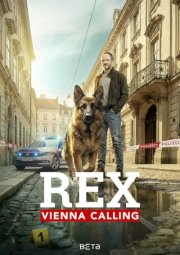 Комиссар Рэкс: Перезапуск смотреть онлайн