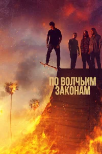 По волчьим законам бесплатно