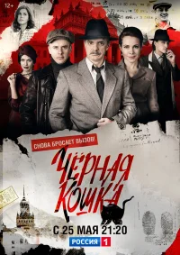 Чёрная кошка бесплатно